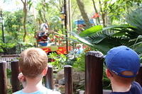 IMG_8833.JPG