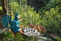 IMG_8861.JPG