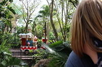 IMG_8878.JPG