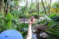 IMG_8893.JPG