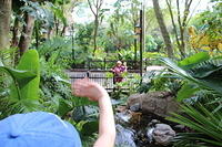 IMG_8894.JPG