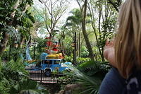 IMG_8948.JPG