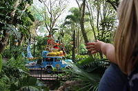 IMG_8950.JPG